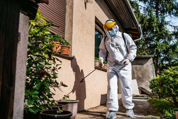 Best Insect Control  in Ocean Ridge, FL