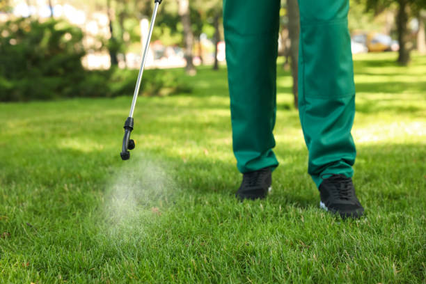 Best Wasp Removal Services  in Ocean Ridge, FL