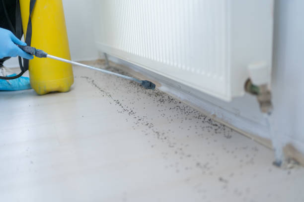 Best Pest Removal Services  in Ocean Ridge, FL