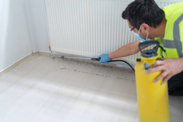 Pest Prevention Services in Ocean Ridge, FL