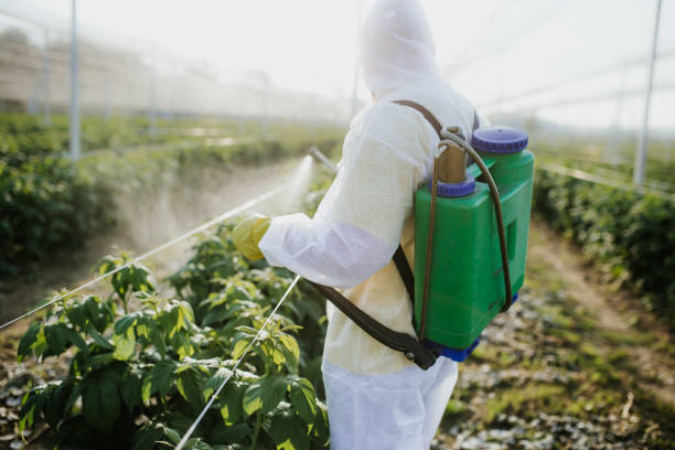 Best Termite Control Services  in Ocean Ridge, FL